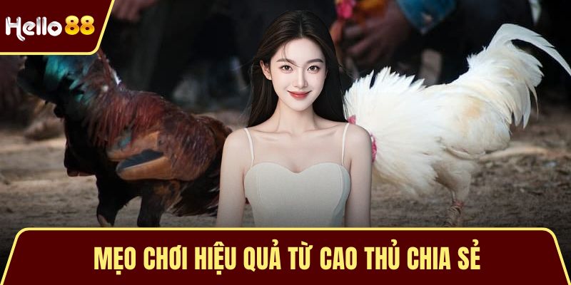 Mẹo chơi hiệu quả từ cao thủ chia sẻ
