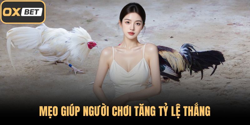Mẹo giúp người chơi tăng tỷ lệ thắng