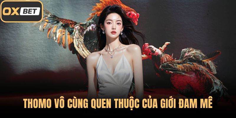 Thomo vô cùng quen thuộc của giới đam mê